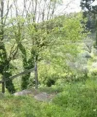 Vendita Agricolo in Via San Martino Malacoccola Vendita Agricolo in Via San Martino Malacoccola