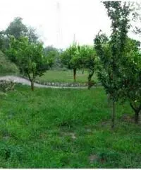 Vendita Quadrilocali da 90mq