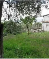 Vendita Quadrilocali da 90mq