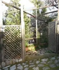 Vendita Agricolo in Via Campitiello