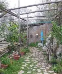 Vendita Agricolo in Via Campitiello