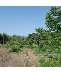 Vendita Agricolo in Via Sibilla, 00 Vendita Agricolo in Via Sibilla, 00