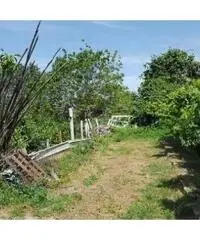 Vendita Agricolo in Via Sibilla, 00 Vendita Agricolo in Via Sibilla, 00