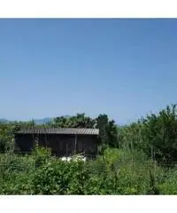 Vendita Agricolo in Via Sibilla, 00 Vendita Agricolo in Via Sibilla, 00