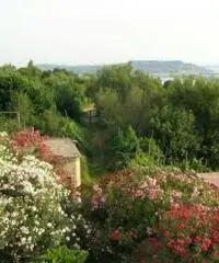 Vendita Multilocale in strada provinciale Scalandrone