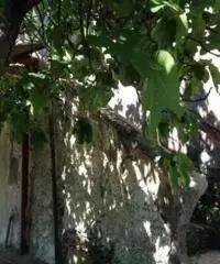 Vendita Bilocale in via torretta fiorillo, 126