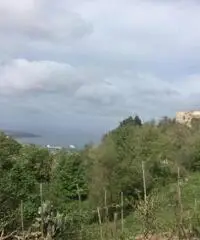 Arola: Vendita Multilocale da 130mq Arola: Vendita Multilocale da 130mq