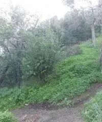 Vendita Agricolo in Via Veterino Vendita Agricolo in Via Veterino