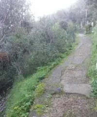 Vendita Agricolo in Via Veterino Vendita Agricolo in Via Veterino