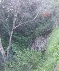 Vendita Agricolo in Via Veterino Vendita Agricolo in Via Veterino