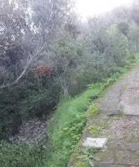 Vendita Agricolo in Via Veterino Vendita Agricolo in Via Veterino