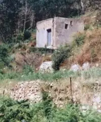 Vendita Agricolo in via PIETRA LISCIA Vendita Agricolo in via PIETRA LISCIA