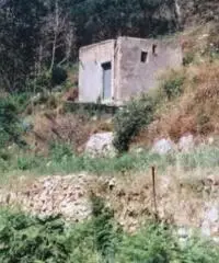 Vendita Agricolo in via PIETRA LISCIA Vendita Agricolo in via PIETRA LISCIA