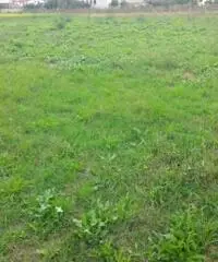 Vendita Agricolo in strada statale 7 bis