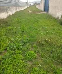 Vendita Agricolo in strada statale 7 bis