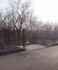 Vendita Agricolo in Via Sant'Agnello Vendita Agricolo in Via Sant'Agnello