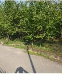 Vendita Agricolo in Via dei Pizzariello Vendita Agricolo in Via dei Pizzariello