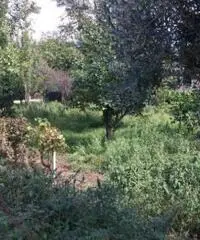 Vendita Edificabile residenziale da 660mq Vendita Edificabile residenziale da 660mq