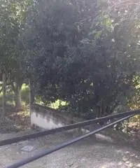 Vendita Edificabile residenziale da 660mq Vendita Edificabile residenziale da 660mq