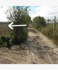 Giugliano 1500mq di terreno agricolo - Giugliano 1500mq di terreno agricolo -