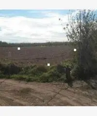 Giugliano 1500mq di terreno agricolo - Giugliano 1500mq di terreno agricolo -