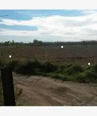 Giugliano 1500mq di terreno agricolo - Giugliano 1500mq di terreno agricolo -