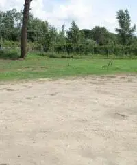 Varcaturo: Affitto Agricolo in Via Ripuaria Varcaturo: Affitto Agricolo in Via Ripuaria