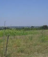 Vendita Agricolo in Via Campana