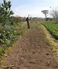 Appartamento in Vendita a Giugliano in Campania Appartamento in Vendita a Giugliano in Campania