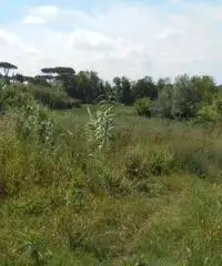Lago Patria: Vendita Trilocale in Via Staffetta Lago Patria: Vendita Trilocale in Via Staffetta