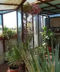 RifITI 029-SU27/300 - Villa a schiera in Vendita a Pomezia - Campo Ascolano - Villaggio Tognazzi di 