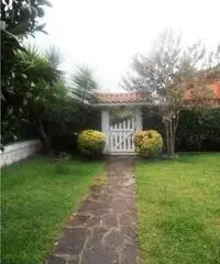 Rif: t14 - Villa in Vendita a Ariccia Rif: t14 - Villa in Vendita a Ariccia