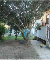 Rif: T3192 - ANZIO VILLA 90 MQ