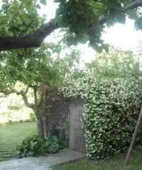 Rif: t395 - Appartamento in Vendita a Albano Laziale Rif: t395 - Appartamento in Vendita a Albano Laziale