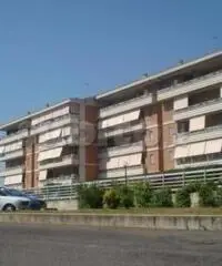 Vendita Bilocale in Viale delle Arti Vendita Bilocale in Viale delle Arti