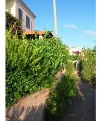 Vendita villa a schiera mq. 80 - Valledoria