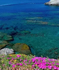 Villetta a schiera in vendita a Porto Torres 68 mq  Rif: 384340 Villetta a schiera in vendita a Porto Torres 68 mq  Rif: 384340