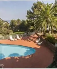 Rif: 21711052-284 - Bergeggi ( SV) – Splendida villa indipendente e davanti a noi il mare aperto e l