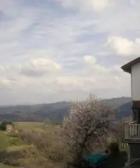 Rif: 21711044-449 - CASSINELLE ( AL ) : Casa indipendente su tre piani con terrazzo e ampio terreno