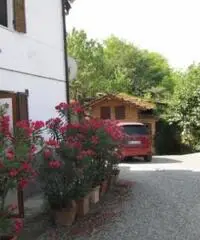 Rif: 21711196-23 - Sulla strada dei vini acquesi Rif: 21711196-23 - Sulla strada dei vini acquesi