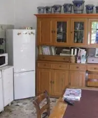 Rif: 21711196-23 - Sulla strada dei vini acquesi Rif: 21711196-23 - Sulla strada dei vini acquesi