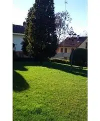 Vendita Villa in Via Alessandria Vendita Villa in Via Alessandria
