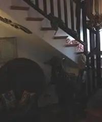 APPARTAMENTO di 4 vani e di 110 mq (ANCONA - ripe) rif. VND 5