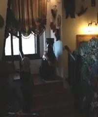 APPARTAMENTO di 4 vani e di 110 mq (ANCONA - ripe) rif. VND 5