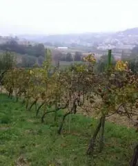 Semindipendente in vendita a Ancona, CASTELLANO Semindipendente in vendita a Ancona, CASTELLANO