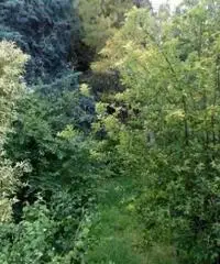 Vendita Villa da 460mq Vendita Villa da 460mq