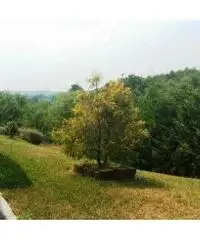 Rif: 877 - Villa ristrutturata con ottime finiture Rif: 877 - Villa ristrutturata con ottime finiture