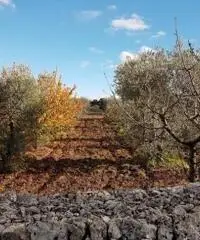 Vendita Villa in Strada Comunale Pentimelle