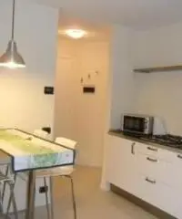 Alzano Lombardo Centro - Monolocale Ristrutturato: