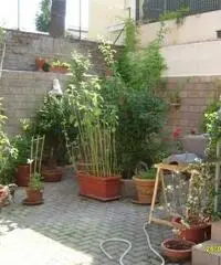 RifITI 013-AA20373 - Villetta bifamiliare in Vendita a Dozza di 130 mq